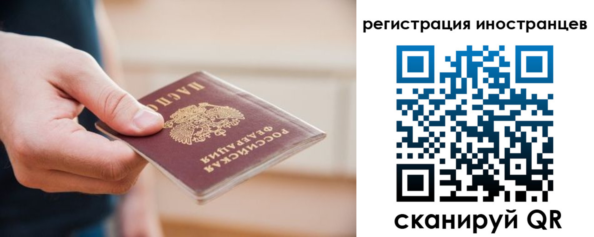 прописка гарантия в Кремёнках